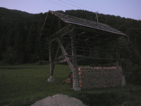Harpfe 